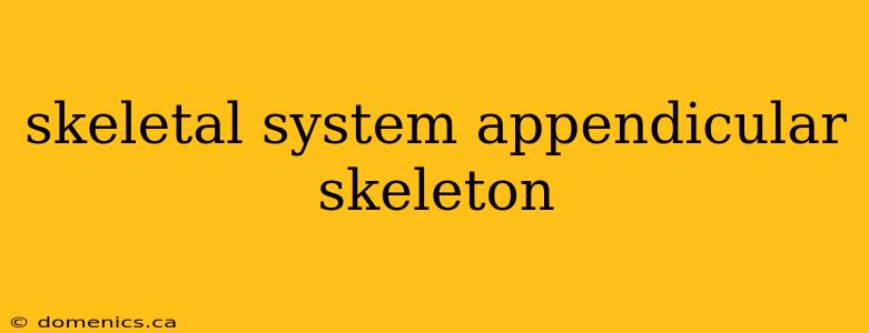 skeletal system appendicular skeleton