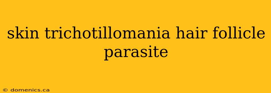 skin trichotillomania hair follicle parasite