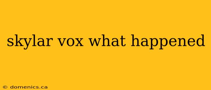 skylar vox what happened