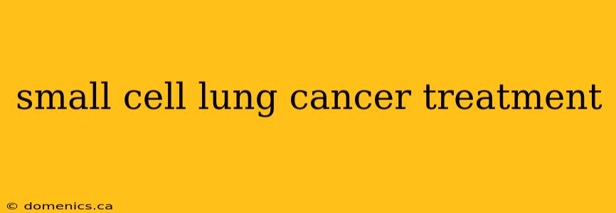 small cell lung cancer treatment