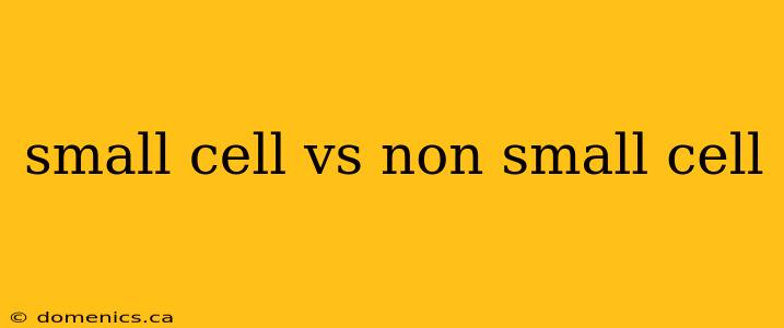 small cell vs non small cell