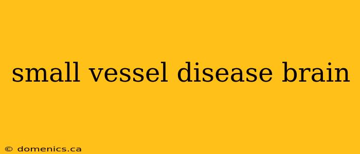 small vessel disease brain