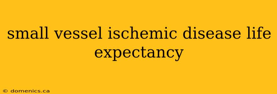 small vessel ischemic disease life expectancy