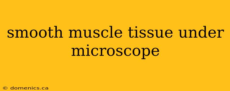 smooth muscle tissue under microscope