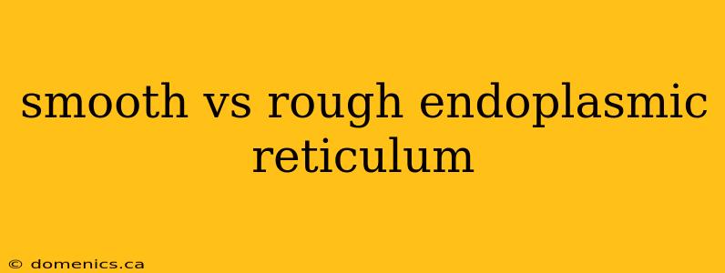 smooth vs rough endoplasmic reticulum