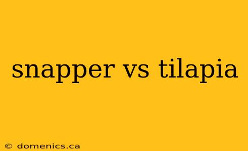 snapper vs tilapia