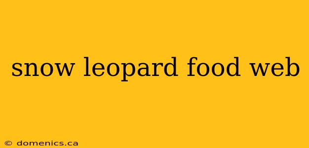 snow leopard food web