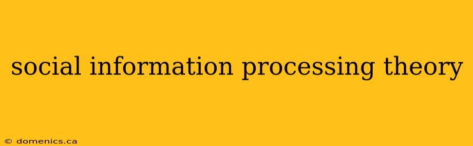 social information processing theory