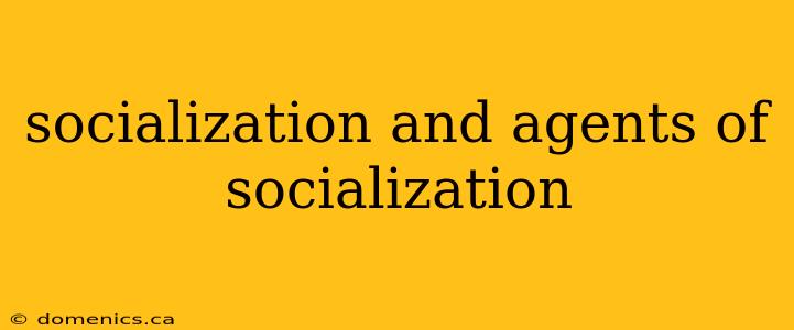 socialization and agents of socialization