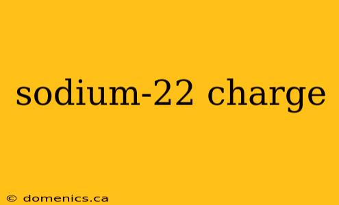 sodium-22 charge