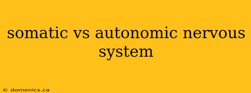 somatic vs autonomic nervous system