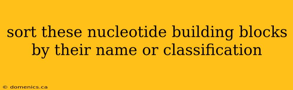 sort these nucleotide building blocks by their name or classification