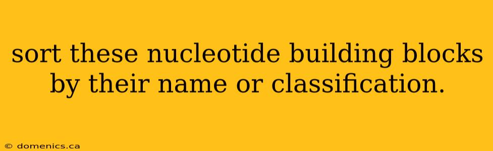 sort these nucleotide building blocks by their name or classification.