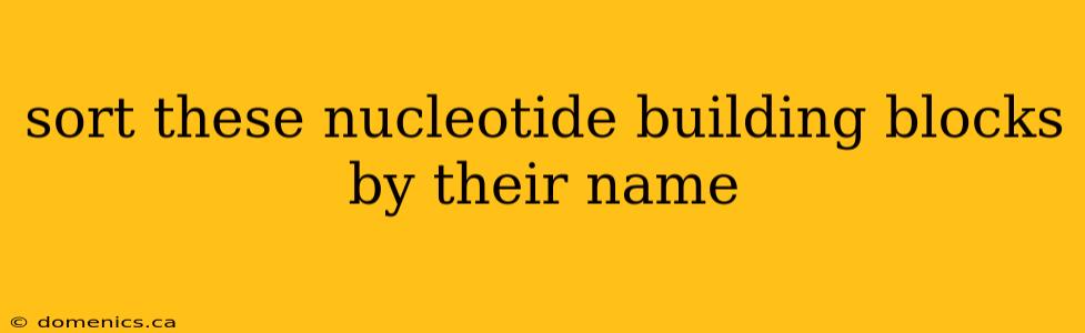 sort these nucleotide building blocks by their name