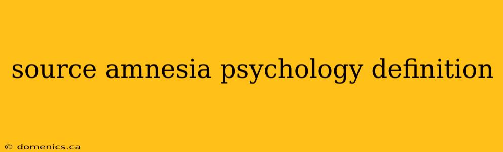 source amnesia psychology definition