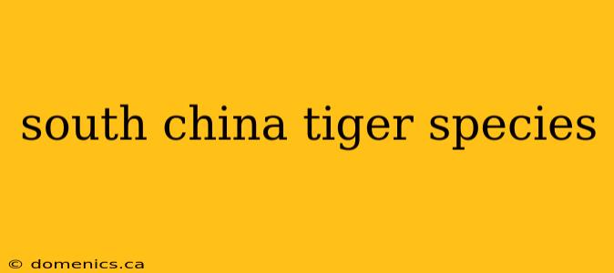 south china tiger species