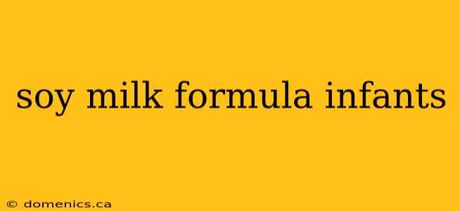 soy milk formula infants