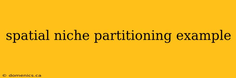 spatial niche partitioning example