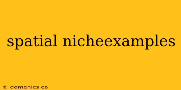 spatial nicheexamples