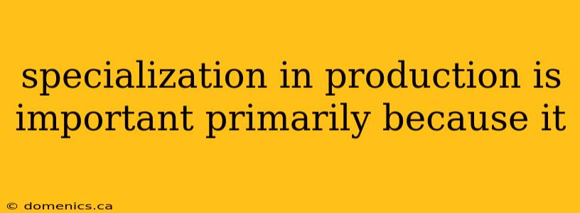 specialization in production is important primarily because it