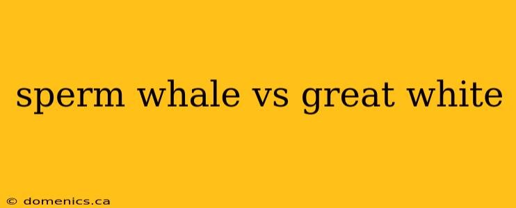 sperm whale vs great white