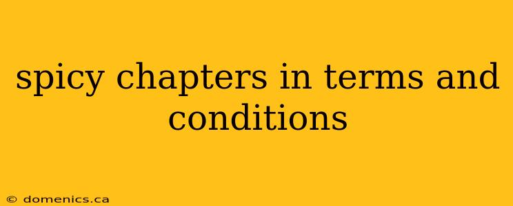 spicy chapters in terms and conditions