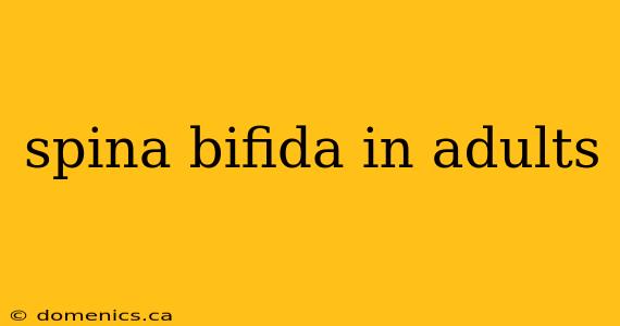 spina bifida in adults