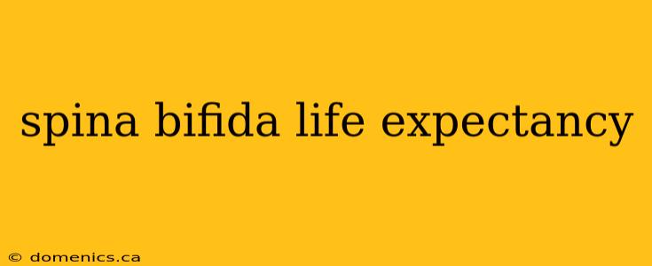 spina bifida life expectancy