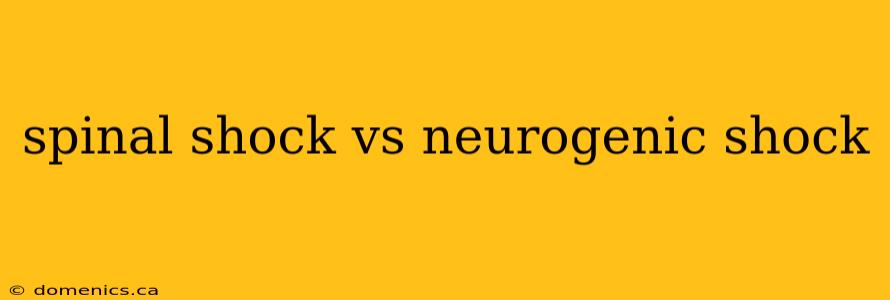 spinal shock vs neurogenic shock