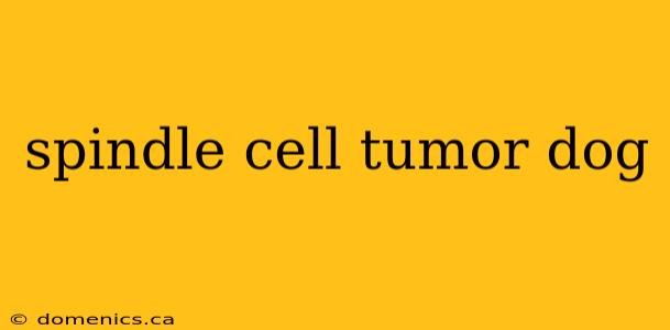spindle cell tumor dog