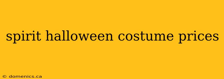 spirit halloween costume prices