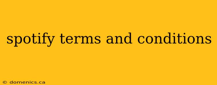 spotify terms and conditions