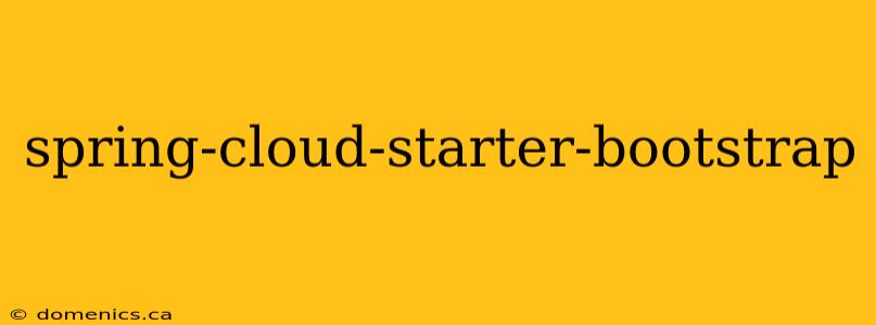 spring-cloud-starter-bootstrap