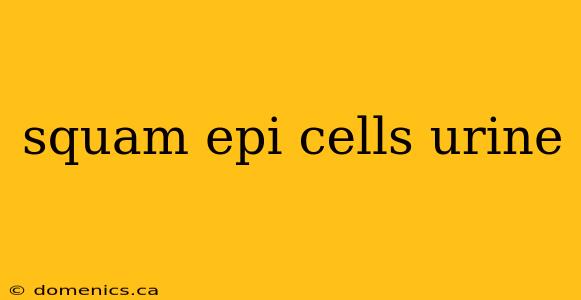 squam epi cells urine