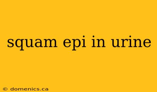 squam epi in urine