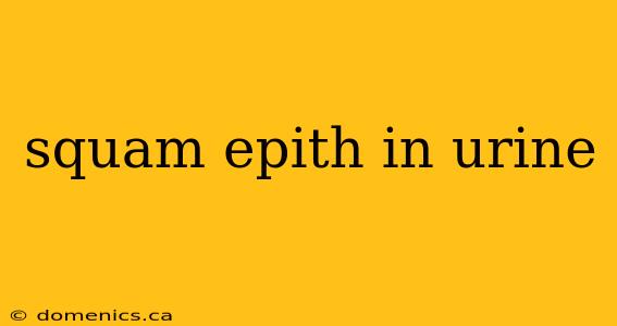 squam epith in urine