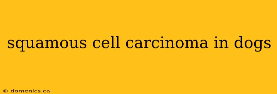 squamous cell carcinoma in dogs