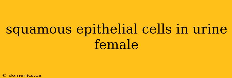 squamous epithelial cells in urine female