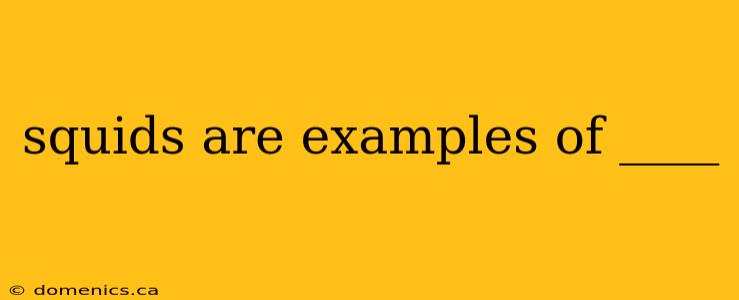 squids are examples of ____