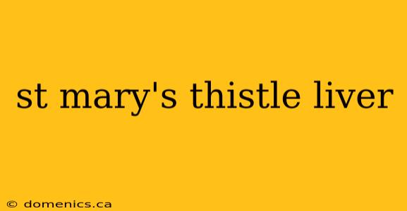 st mary's thistle liver