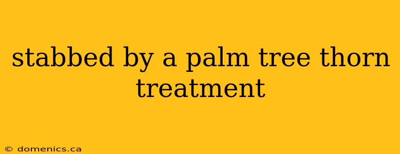 stabbed by a palm tree thorn treatment