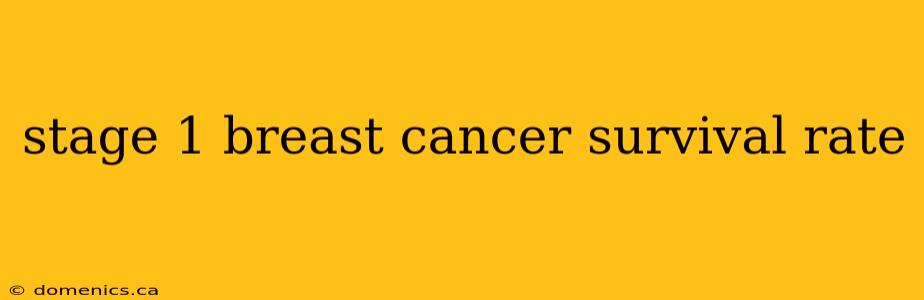 stage 1 breast cancer survival rate