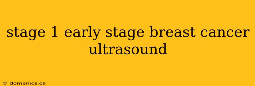 stage 1 early stage breast cancer ultrasound