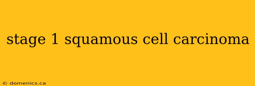 stage 1 squamous cell carcinoma