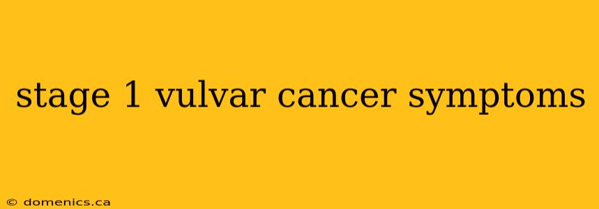 stage 1 vulvar cancer symptoms