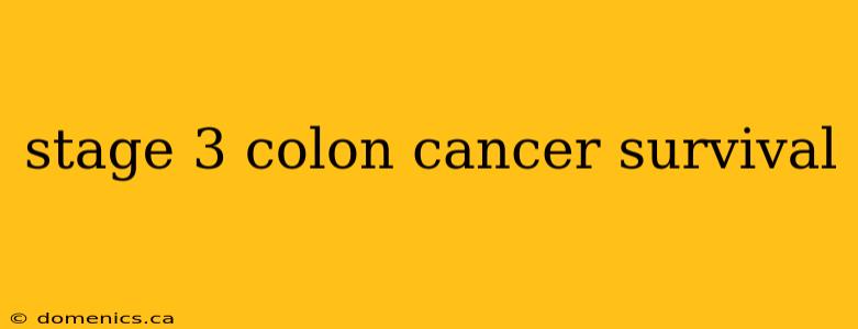 stage 3 colon cancer survival