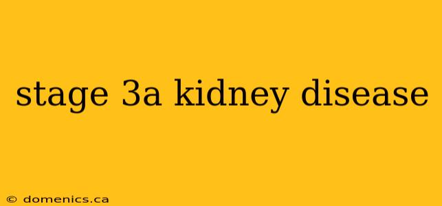 stage 3a kidney disease