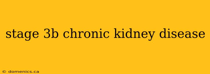 stage 3b chronic kidney disease