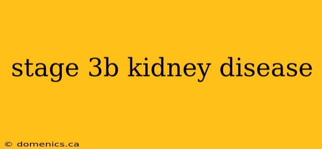 stage 3b kidney disease