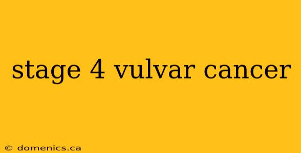 stage 4 vulvar cancer